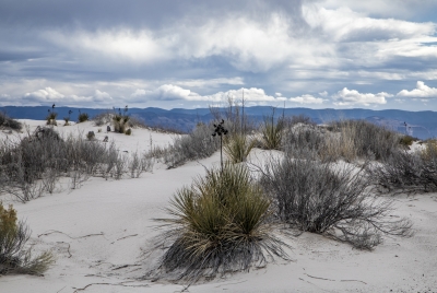 White Sands Dec 2018